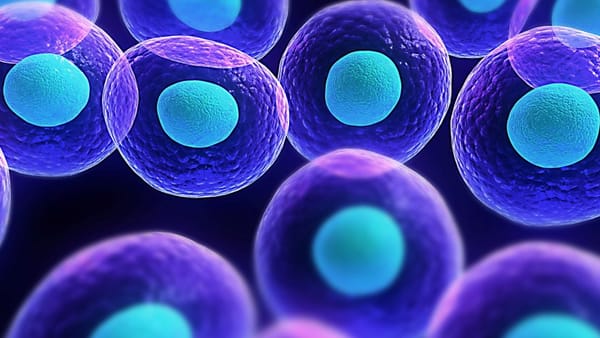 Illustration of a collection of cells
