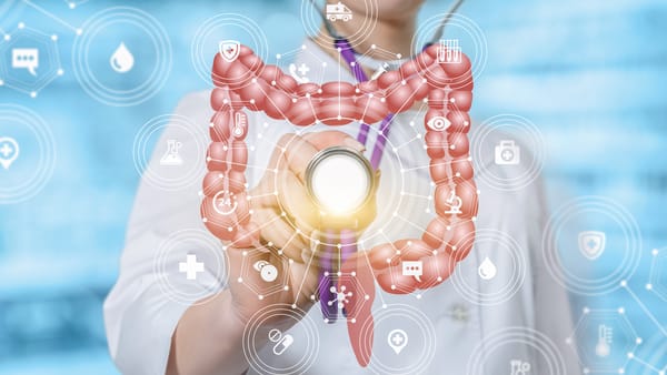 Doctor referencing advanced digestive diagnostics with intestines model