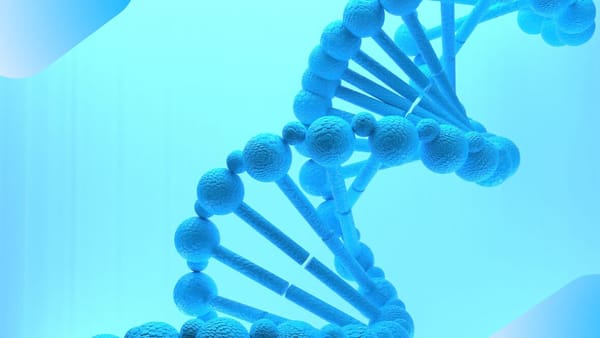 MTHFR gene and methylation cover illustration