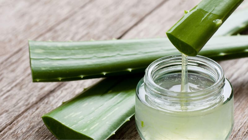 Aloe vera