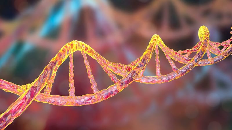 An illustration of the MTHFR gene and the methylation cycle