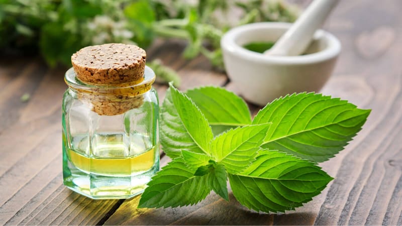 Peppermint leaves and peppermint oil