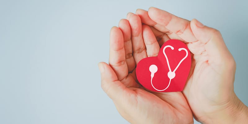 An illustration of a healthy heart